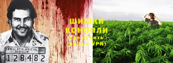 стафф Нефтегорск