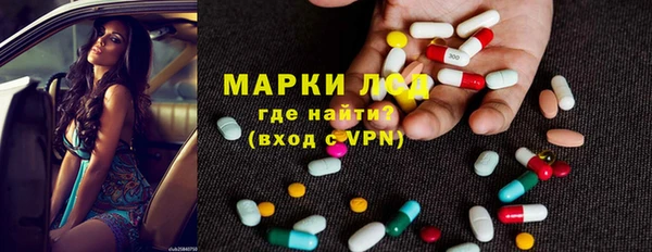 сатива Баксан