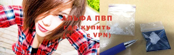 сатива Баксан