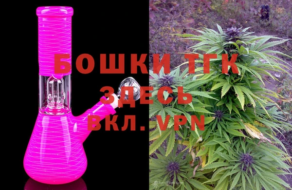 сатива Баксан