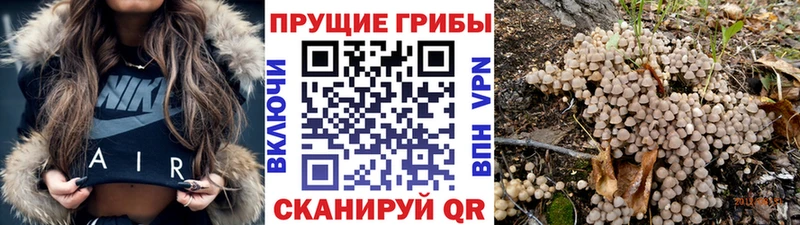 Галлюциногенные грибы ЛСД  Луховицы 